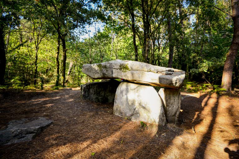 Dolmen de Kerporel de la forêt de Riantec