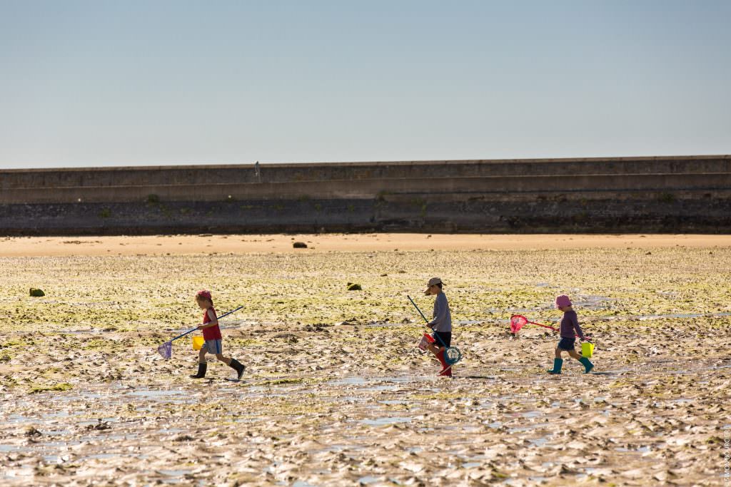 ©trd - Gâvres, pêche à pied en famille sur la presqu'île de gâvres Gâvres, pêche à pied en famille sur la presqu'île de gâvres