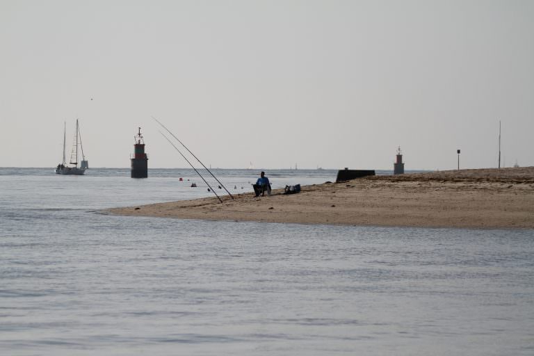 pesca con caña pesca con caña