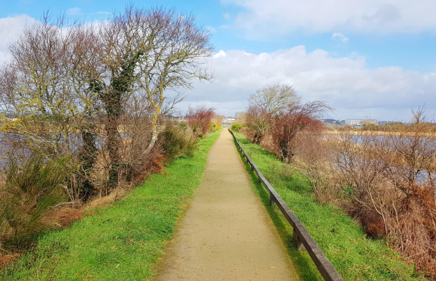 Chemin du marais de Pen Mane, Locmiquelic